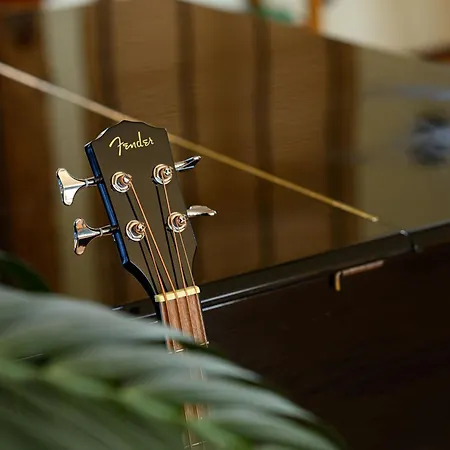 Apartment The Music Hall Schwanau